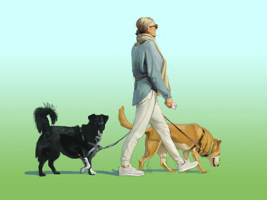 'dog walker' from #peopleofcrosswalks