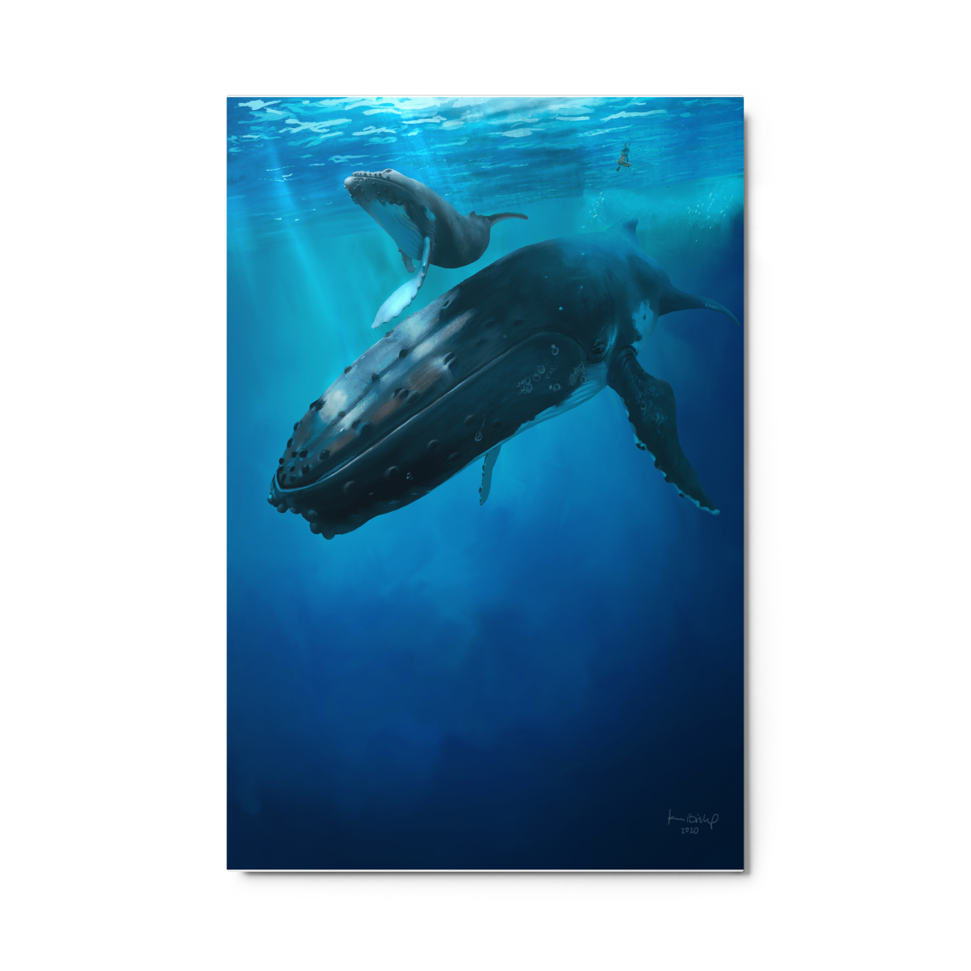 painting of a humpback whale and her calf swimming underwater in a deep blue ocean, watched from above by surfers