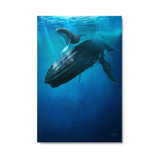 painting of a humpback whale and her calf swimming underwater in a deep blue ocean, watched from above by surfers